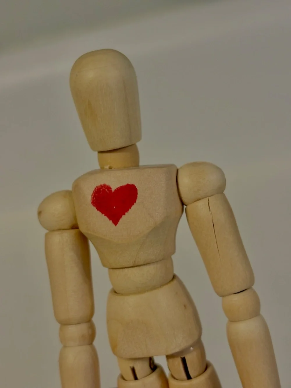 Blick manikin male